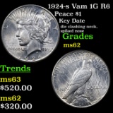 1924-s Vam 1G R6 Peace Dollar $1 Grades Select Unc