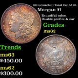 1904-p Colorfully Toned Vam 5A R5 Morgan Dollar $1 Grades Select Unc