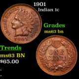 1901 Indian Cent 1c Grades Select Unc BN