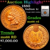 ***Auction Highlight*** 1880 Indian Cent 1c Graded ms66 rd By SEGS (fc)