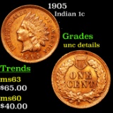 1905 Indian Cent 1c Grades Unc Details