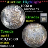 ***Auction Highlight*** 1902-o Morgan Dollar $1 Graded ms66+ By SEGS (fc)