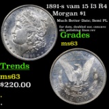 1891-s vam 15 I3 R4 Morgan Dollar $1 Grades Select Unc