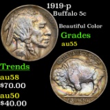 1919-p Buffalo Nickel 5c Grades Choice AU