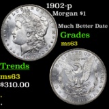 1902-p Morgan Dollar $1 Grades Select Unc