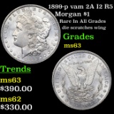 1899-p vam 2A I2 R5 Morgan Dollar $1 Grades Select Unc