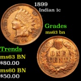 1899 Indian Cent 1c Grades Select Unc BN
