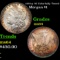 1878-p 7tf Colorfully Toned Morgan Dollar $1 Grades Choice Unc