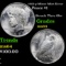 1923-p Minor Mint Error Peace Dollar $1 Grades Choice Unc