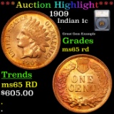 ***Auction Highlight*** 1909 Indian Cent 1c Graded ms65 rd By SEGS (fc)