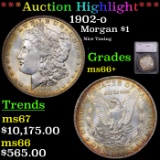 ***Auction Highlight*** 1902-o Morgan Dollar $1 Graded ms66+ By SEGS (fc)