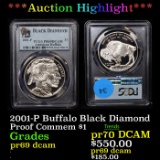 Proof ***Auction Highlight*** PCGS 2001-P Buffalo Black Diamond Modern Commem Dollar $1 Graded pr69