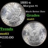1891-s Morgan Dollar $1 Grades Select Unc