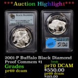 Proof ***Auction Highlight*** PCGS 2001-P Buffalo Black Diamond Modern Commem Dollar $1 Graded pr69