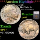 Proof ***Auction Highlight*** 1915 Buffalo Nickel 5c Graded pr67 By SEGS (fc)