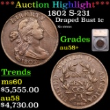 *HIGHLIGHT OF ENTIRE AUCTION* 1802 S-231 Draped Bust Large Cent 1c Graded au58+ By SEGS (fc)