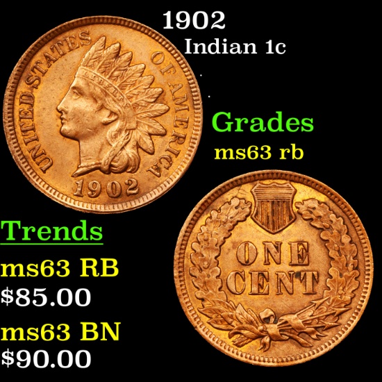 1902 Indian Cent 1c Grades Select Unc RB