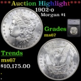 ***Auction Highlight*** 1902-o Morgan Dollar $1 Graded ms67 By SEGS (fc)