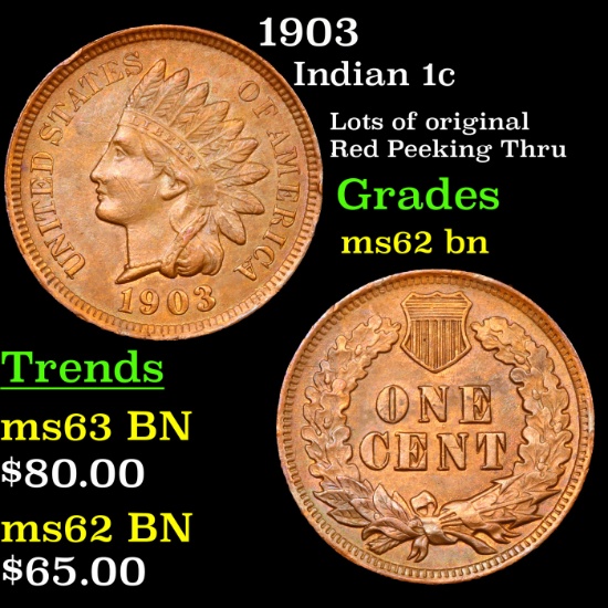 1903 Indian Cent 1c Grades Select Unc BN