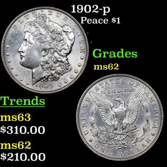 1902-p Morgan Dollar $1 Grades Select Unc