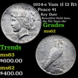 1924-s Vam 1I I2 R5 Peace Dollar $1 Grades Select Unc