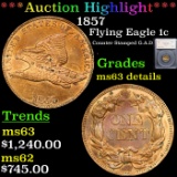 ***Auction Highlight*** 1857 Flying Eagle Cent 1c Graded ms63 details By SEGS (fc)