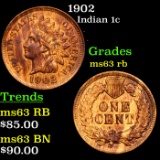 1902 Indian Cent 1c Grades Select Unc RB
