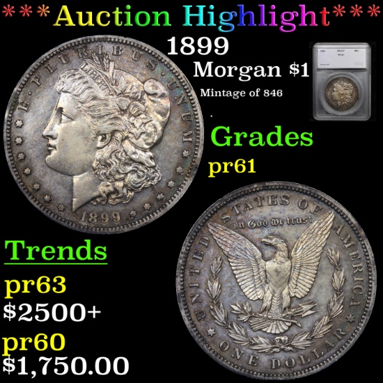 Proof ***Auction Highlight*** 1899 Morgan Dollar $1 Graded pr61 BY SEGS (fc)