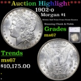 ***Auction Highlight*** 1902-o Morgan Dollar $1 Graded ms67 By SEGS (fc)