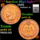 Proof ***Auction Highlight*** 1889 Indian Cent 1c Graded pr65 rb By SEGS (fc)