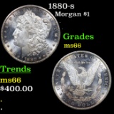1880-s Morgan Dollar $1 Grades GEM+ Unc