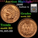 ***Auction Highlight*** 1899 Indian Cent 1c Graded ms66 RD by SEGS (fc)
