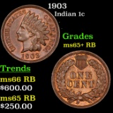 1903 Indian Cent 1c Grades Gem+ Unc RB