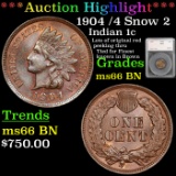 ***Auction Highlight*** 1904 Indian Cent /4 Snow 2 1c Graded ms66 BN by SEGS (fc)