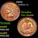 1902 Indian Cent 1c Grades Unc Details