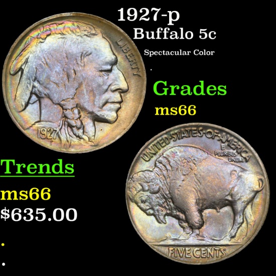 1927-p Buffalo Nickel 5c Grades GEM+ Unc