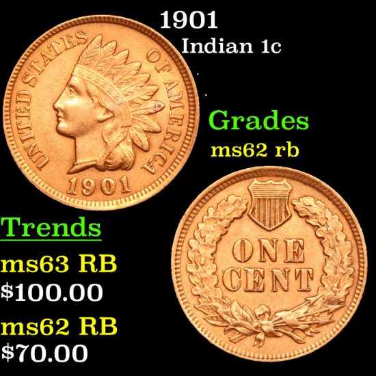 1901 Indian Cent 1c Grades Select Unc RB