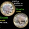 1927-p Buffalo Nickel 5c Grades GEM+ Unc