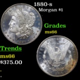 1880-s Morgan Dollar 1 Grades GEM+ Unc