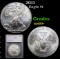 2011 Silver Eagle Dollar $1 Graded ms69+ By SEGS