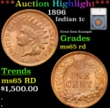 ***Auction Highlight*** 1896 Indian Cent 1c Grades GEM Unc RD By SEGS (fc)