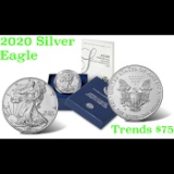 2020 American Eagle One Ounce Uncirculated Coin