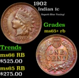 1902 Indian Cent 1c Grades Gem+ Unc RB