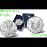 2015 American Eagle One Ounce Uncirculated Coin