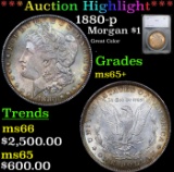 ***Auction Highlight*** 1880-p Morgan Dollar $1 Graded ms65+ By SEGS (fc)