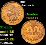 1901 Indian Cent 1c Grades Gem+ Unc RB