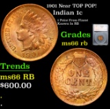 1901 Indian Cent Near TOP POP! 1c Graded ms66 rb By SEGS