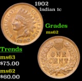 1902 Indian Cent 1c Grades Select Unc