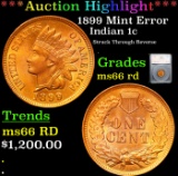 ***Auction Highlight*** 1899 Indian Cent Mint Error  1c Graded ms66 rd By SEGS (fc)