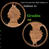 Cool Carved Out 1895 Indian 1c Grades ng